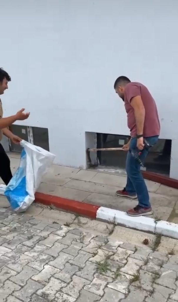 Okulda Paniğe Neden Olan Yılan Öğretmen Tarafından Yakalandı AW464665 02 1 | Gündem Sivas™ Haber