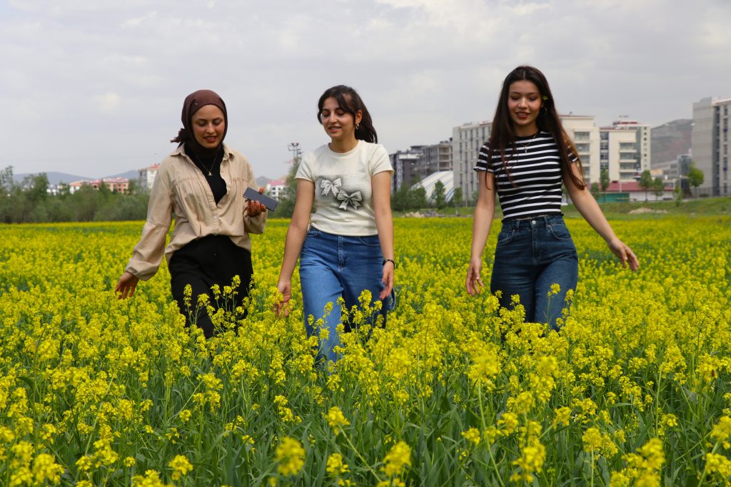 Doğa Tutkunlarına Müjde! Sivas’ta Oluşan Çiçek Tarlaları Görenleri Büyülüyor Cicek Tarlalari | Gündem Sivas™ Haber