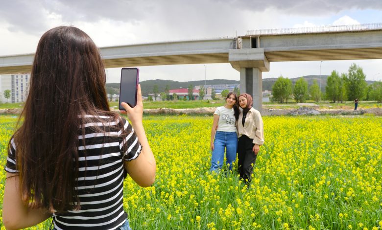 Doğa Tutkunlarına Müjde! Sivas’ta Oluşan Çiçek Tarlaları Görenleri Büyülüyor Cicek Tarlalari2 | Gündem Sivas™ Haber