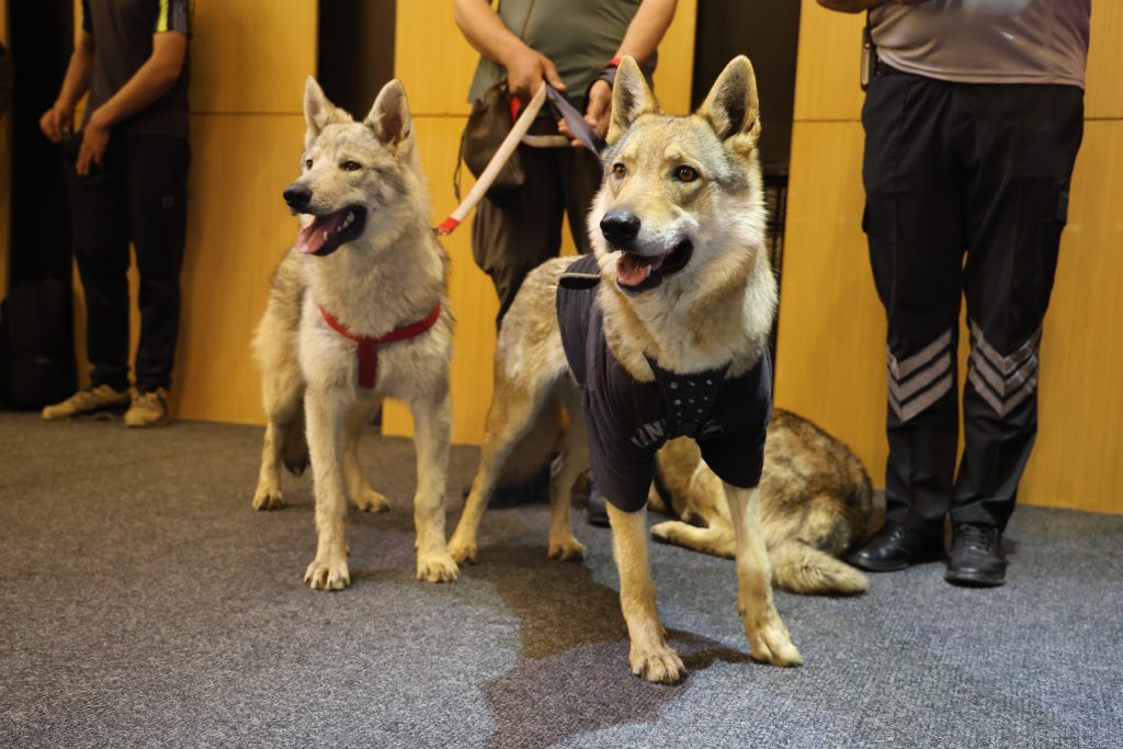 Sivas Cumhuriyet Üniversitesi’nde "Doğanın Renkleri İle Buluşuyoruz" Paneli Düzenlendi Panel | Gündem Sivas™ Haber