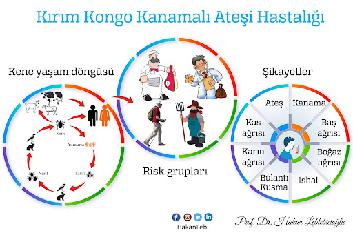 KKKA Virüsü Belirtileri Nelerdir? Sivas’ta Vaka Sayısı Artıyor unnamed 3 | Gündem Sivas™ Haber