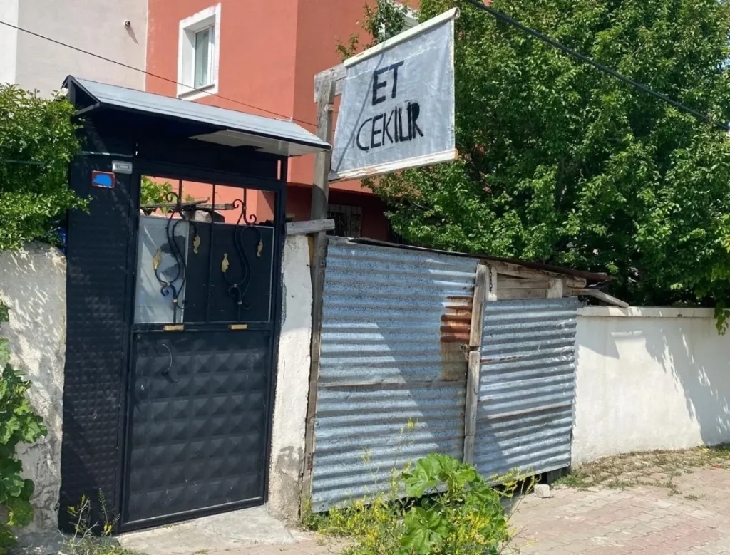 317031516 1749721503 | Gündem Sivas™ | Sivas Haberleri