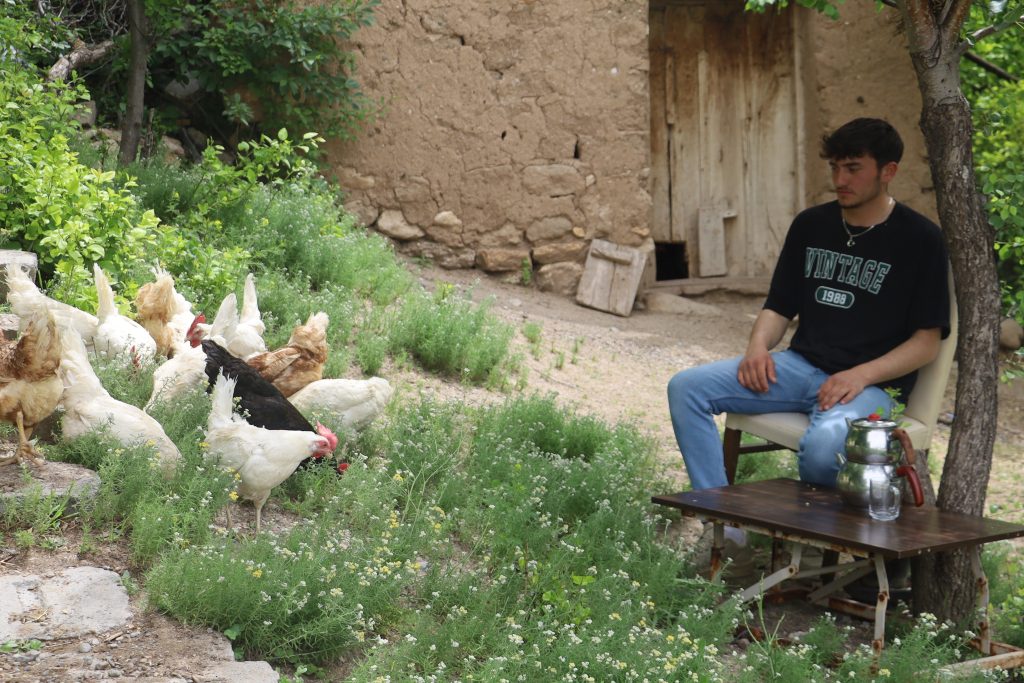 KKKA'dan Korunmanın Doğal Yolu: 1 Tavuk Günde 1000 Kene Yiyor! AW468951 03 | Gündem Sivas™ Haber