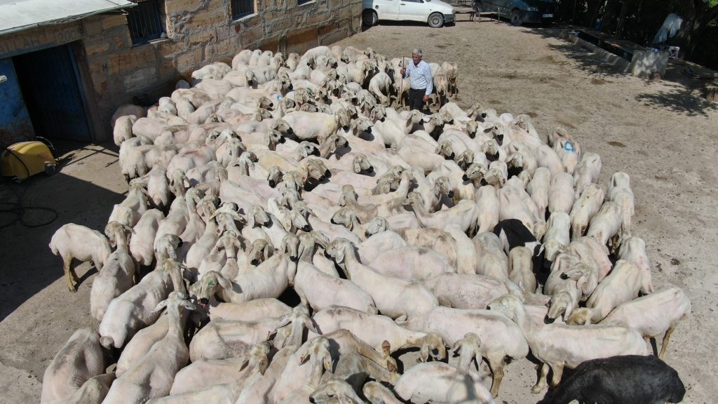 AW475093 01 | Gündem Sivas™ Haber