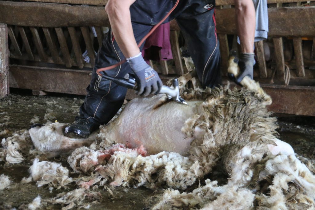 AW475093 06 | Gündem Sivas™ Haber