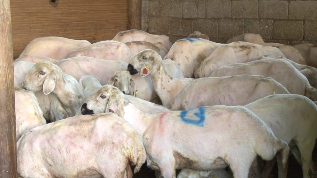 AW475093 07 | Gündem Sivas™ Haber