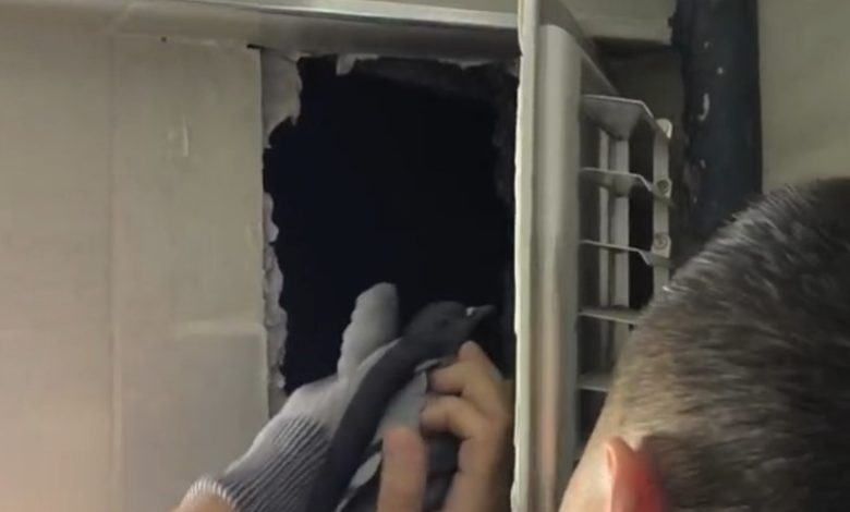 AW480282 01 | Gündem Sivas™ Haber