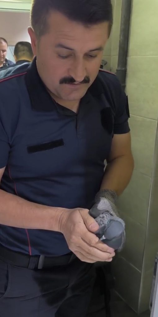 Sivas'ta Apartman Havalandırma Boşluğuna Düşen Güvercin İtfaiye Ekiplerince Kurtarıldı AW480282 03 | Gündem Sivas™ Haber