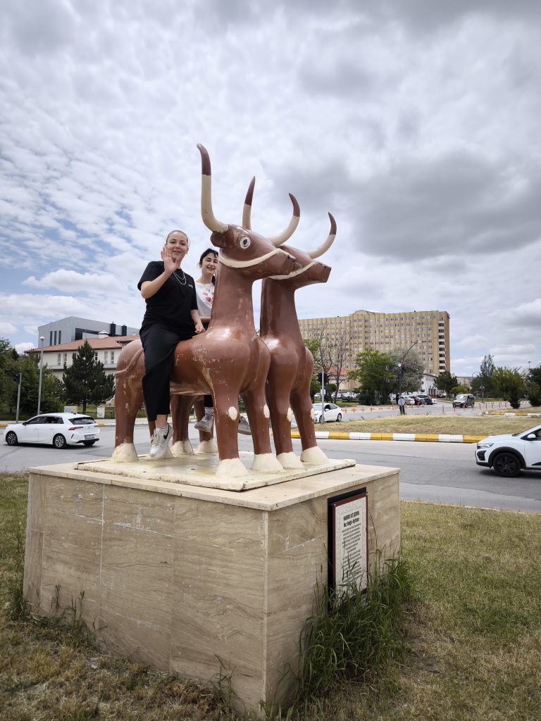 AW481658 05 | Gündem Sivas™ | Sivas Haberleri