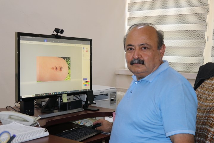 Kene Uyarısı: Sıcaklarla Artan KKKA Riski! Prof. Dr. İlhan Çetin Açıkladı