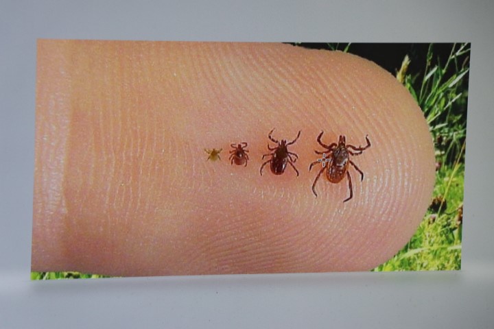 AW486000 03 | Gündem Sivas™ | Sivas Haberleri