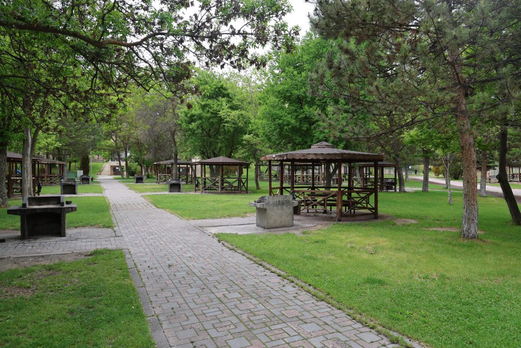 Sivas'ta Kene Panği: 'Artık Kimse Mesire Alanlarına Gitmiyor' Sivasta Kene Pangi 1 | Gündem Sivas™ Haber