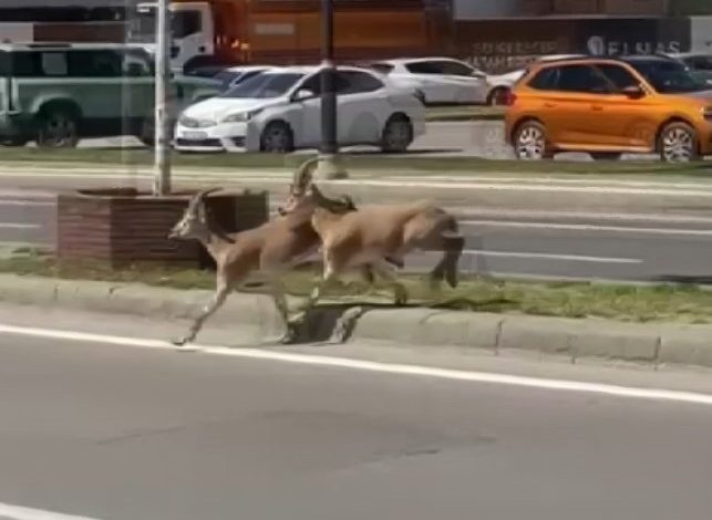 AW492340 01 | Gündem Sivas™ Haber