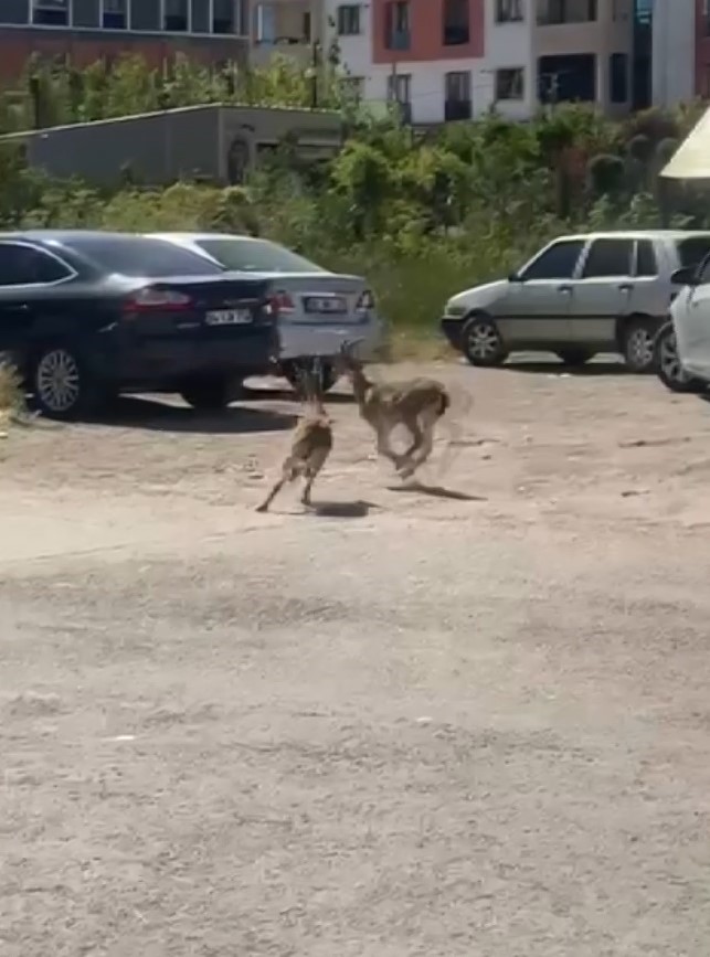 AW492340 02 | Gündem Sivas™ Haber