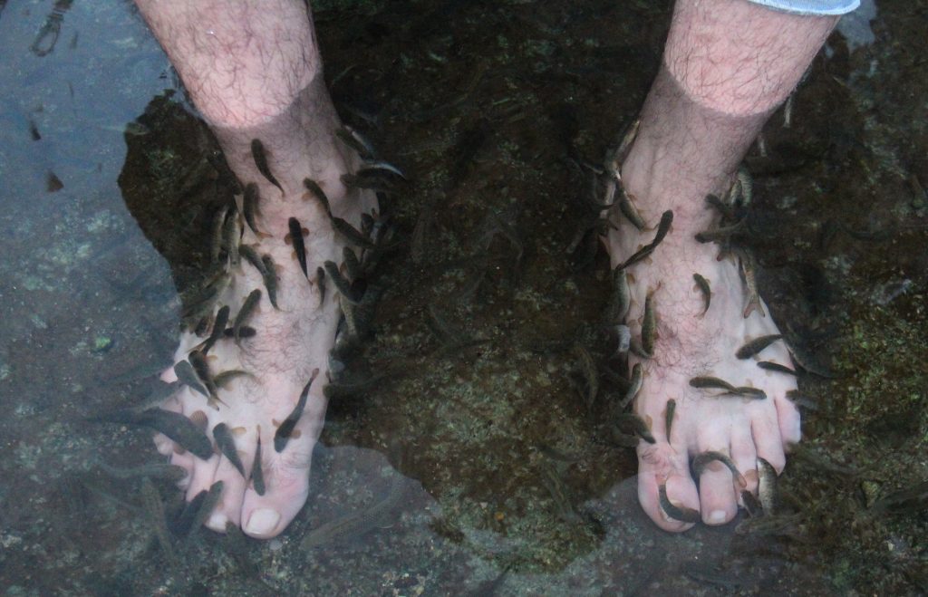 Kangal Balıklı Kaplıca’da 7 Aydır Süren Kriz: Hastalar Şifa Bekliyor! AW492700 02 | Gündem Sivas™ Haber