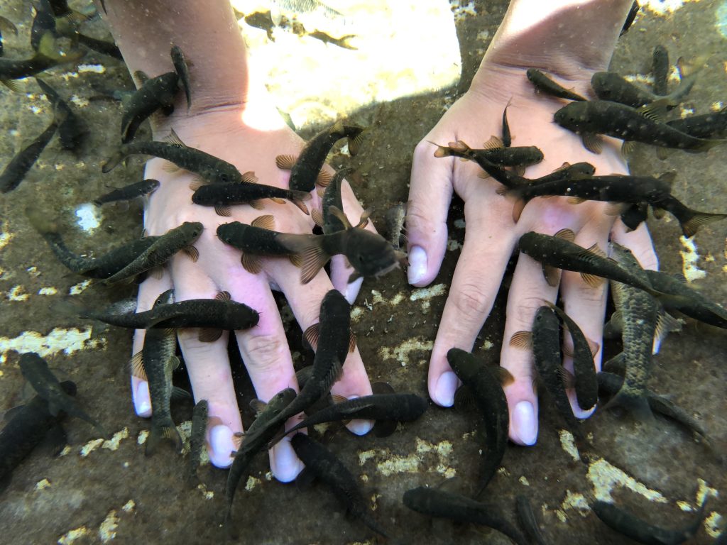 Kangal Balıklı Kaplıca Tabiat Parkı İlan Edildi: İşletmeci Ünsallar A.Ş.’den Sert Tepki AW496638 01 1 | Gündem Sivas™ Haber