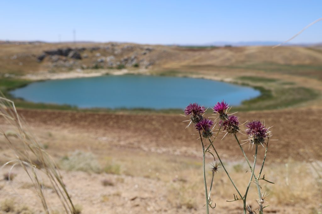 Sivas'ın Doğal Gözleri Ağgöl ve Karagöl, Kene Tehdidi Nedeniyle Ziyaretçisiz Kaldı AW497269 05 | Gündem Sivas™ Haber