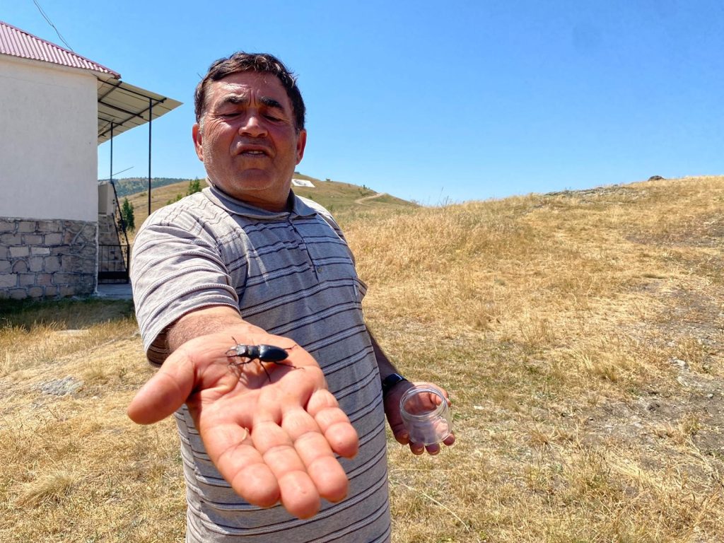 Sivas’ta Nesli Tükenmekte Olan Geyik Böceği Görüntülendi – Cezası 557 Bin TL!