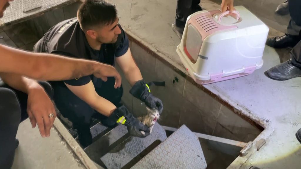 AW498719 03 | Gündem Sivas™ Haber