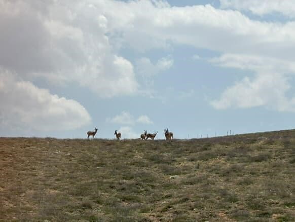 AW500277 01 | Gündem Sivas™ Haber