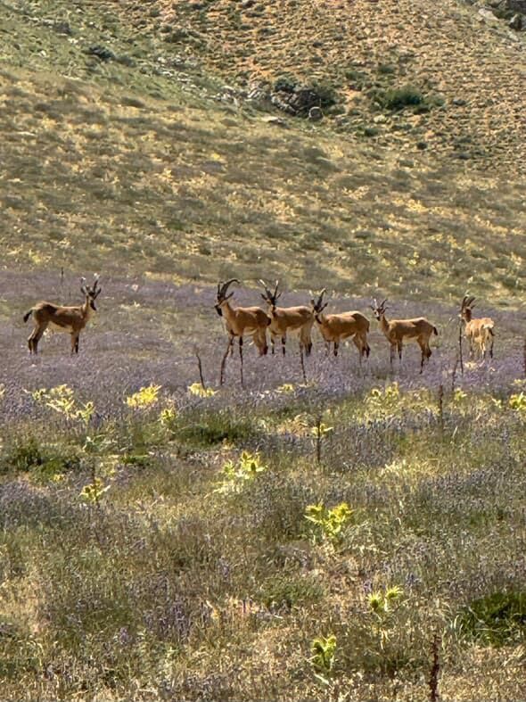 AW500277 02 | Gündem Sivas™ Haber