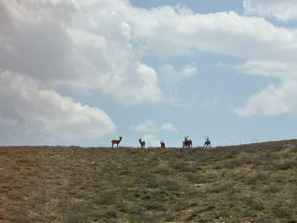 AW500277 03 | Gündem Sivas™ Haber