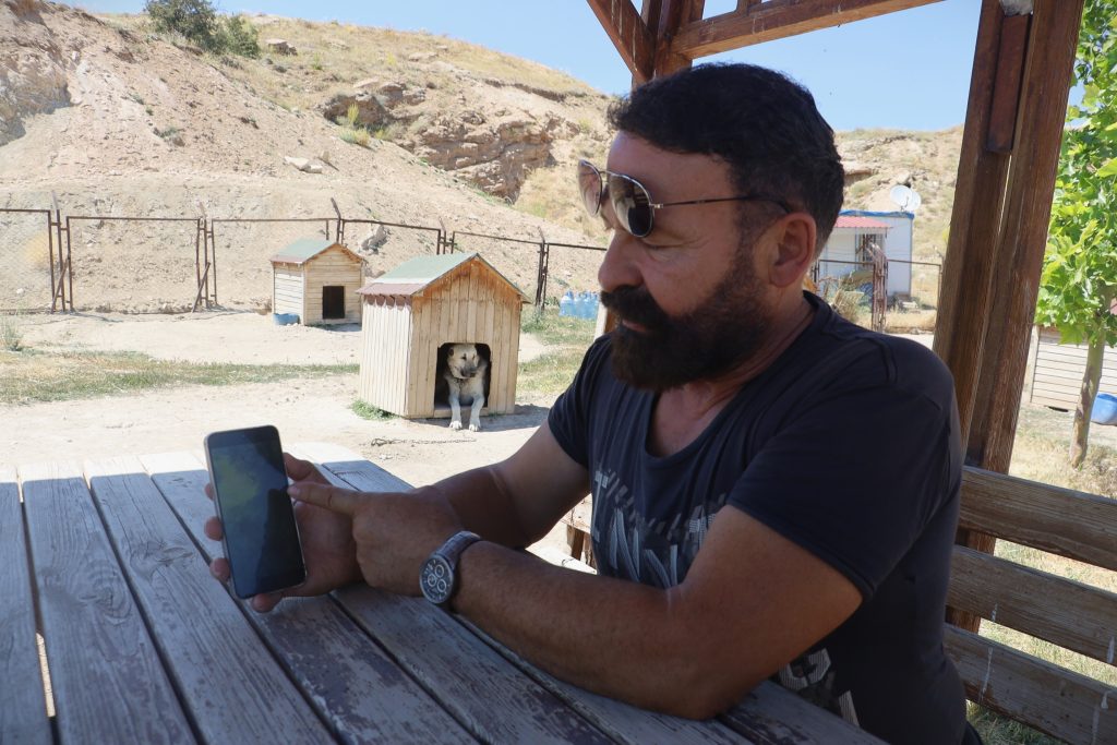 Kangal Köpeği Haskız, Gebe Haldeyken Sürüsünü Yılandan Korudu! AW501937 06 | Gündem Sivas™ Haber