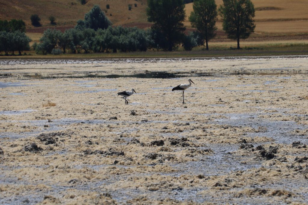 Sivas’ın Doğa Harikası Bingöl Gölü, Kuraklık Nedeniyle Tamamen Kurudu AW502567 05 | Gündem Sivas™ Haber