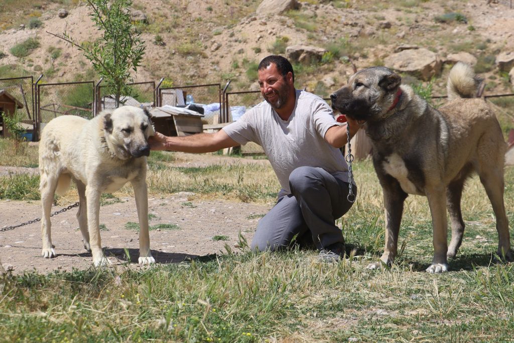 AW504262 03 | Gündem Sivas™ | Sivas Haberleri