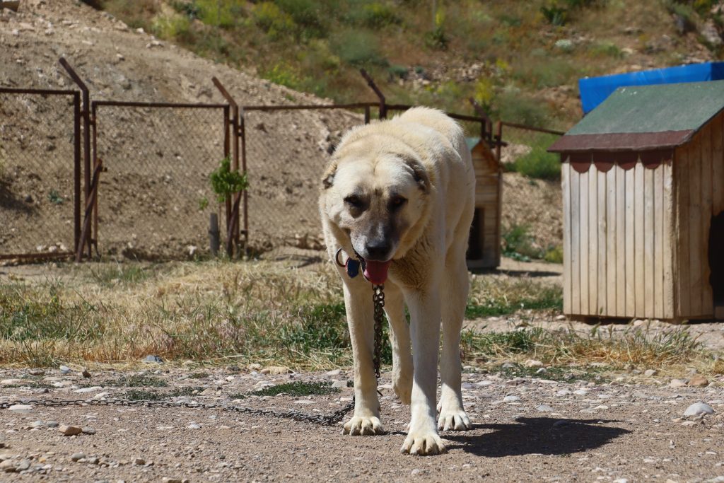 AW504262 06 | Gündem Sivas™ | Sivas Haberleri