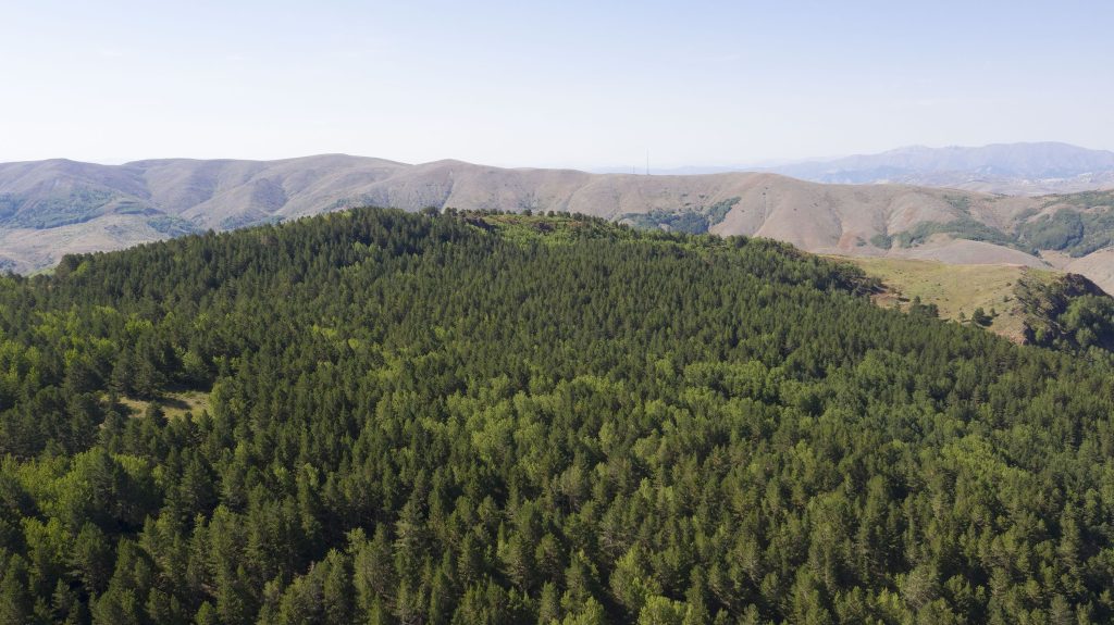 Sivas’ta Ormanlara Girişler 1 Ekim’e Kadar Yasaklandı! AW504547 01 | Gündem Sivas™ Haber