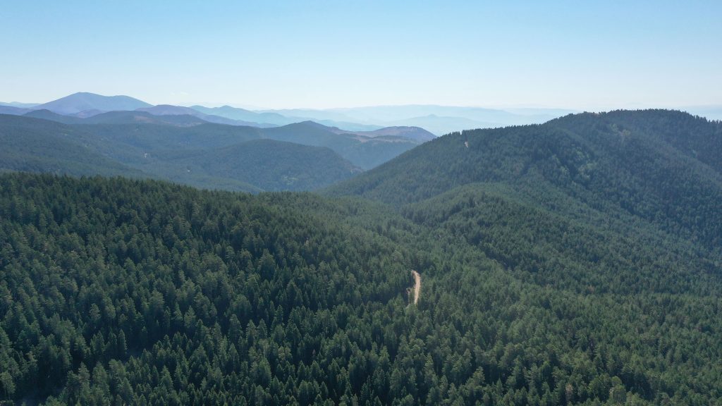 Sivas’ta Ormanlara Girişler 1 Ekim’e Kadar Yasaklandı! AW504547 03 | Gündem Sivas™ Haber