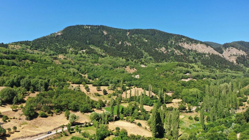 Sivas’ta Ormanlara Girişler 1 Ekim’e Kadar Yasaklandı! AW504547 04 1 | Gündem Sivas™ Haber