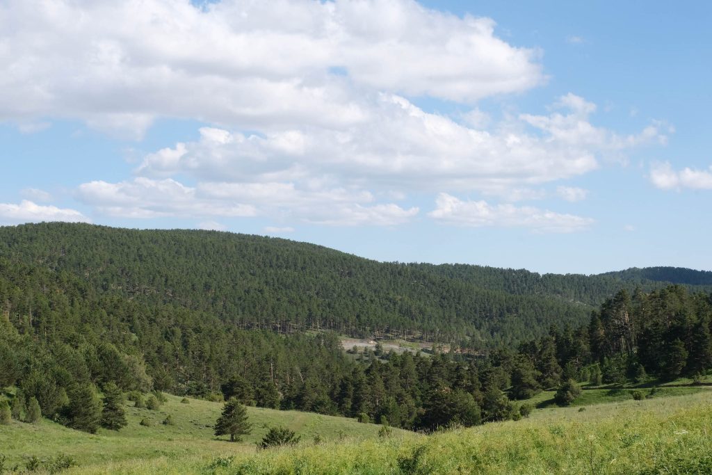 Sivas’ta Ormanlara Girişler 1 Ekim’e Kadar Yasaklandı! AW504547 05 | Gündem Sivas™ Haber