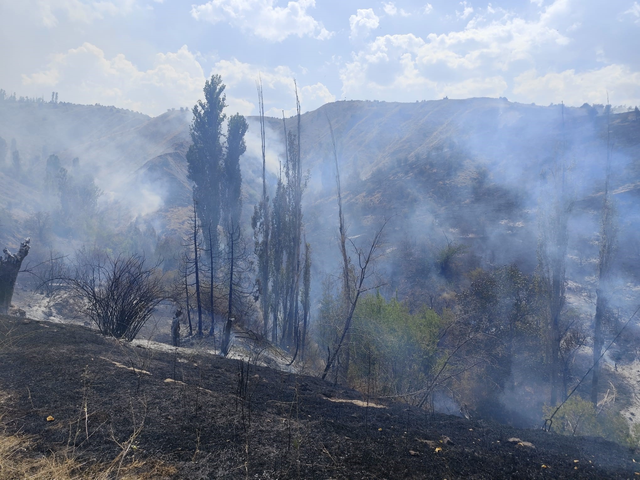 Sivas'ın Akıncılar İlçesinde Çıkan Yangında 12 Ev Zarar Gördü