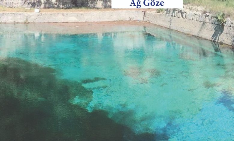 Ağ Göze için Müjde | Gündem Sivas™ | Sivas Haberleri WhatsApp Gorsel 2025 07 11 saat 14.43.47 b0e7c953 | Gündem Sivas™ | Sivas Haberleri