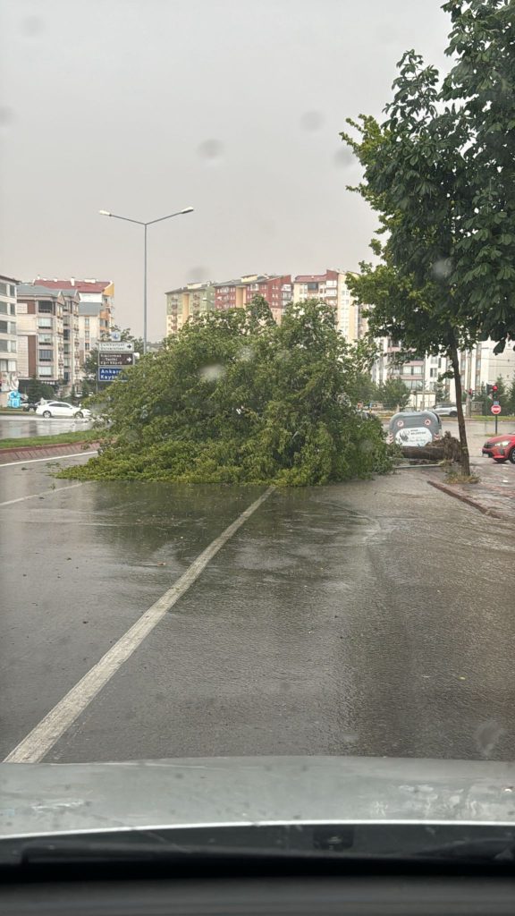 Sivas’ta Şiddetli Fırtına: Kent Meydanı’ndaki Ağaçlar Kökünden Söküldü!