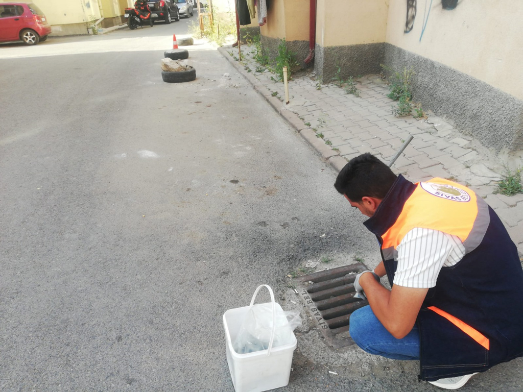 Sivas Belediyesi, Haşere ve Kemirgenlere Karşı Etkin Mücadele Ediyor halk sagligi icin kesintisiz mucadele 6945 | Gündem Sivas™ Haber