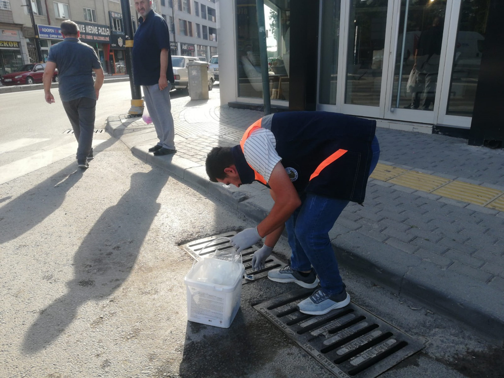 Sivas Belediyesi, Haşere ve Kemirgenlere Karşı Etkin Mücadele Ediyor halk sagligi icin kesintisiz mucadele 9873 | Gündem Sivas™ Haber