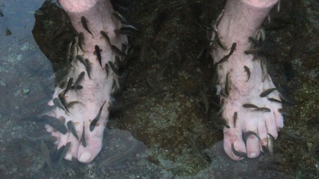 Kangal Balıklıgöl Tabiat Parkı Resmen Tescillendi kangal balikli kaplica33 | Gündem Sivas™ Haber