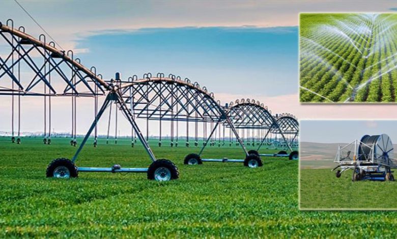 Sivas'ta Sulama Destekleriyle Tarlalar Canlanıyor, Çiftçiler Kazançlı Çıkıyor 3709722600759946094 36809639785 | Gündem Sivas™ Haber