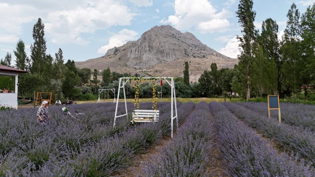 Niyazi ve Muazzez Selvi’nin Huzur Dolu Emeklilik Projesi AW510530 02 | Gündem Sivas™ Haber