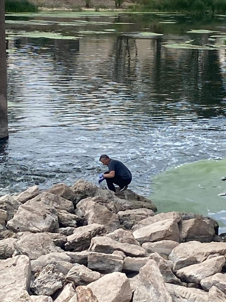 Sivas'ta Toplu Balık Ölümlerinin Nedeni: Aşırı Sıcaklar ve Oksijen Azlığı AW511155 01 1 | Gündem Sivas™ Haber