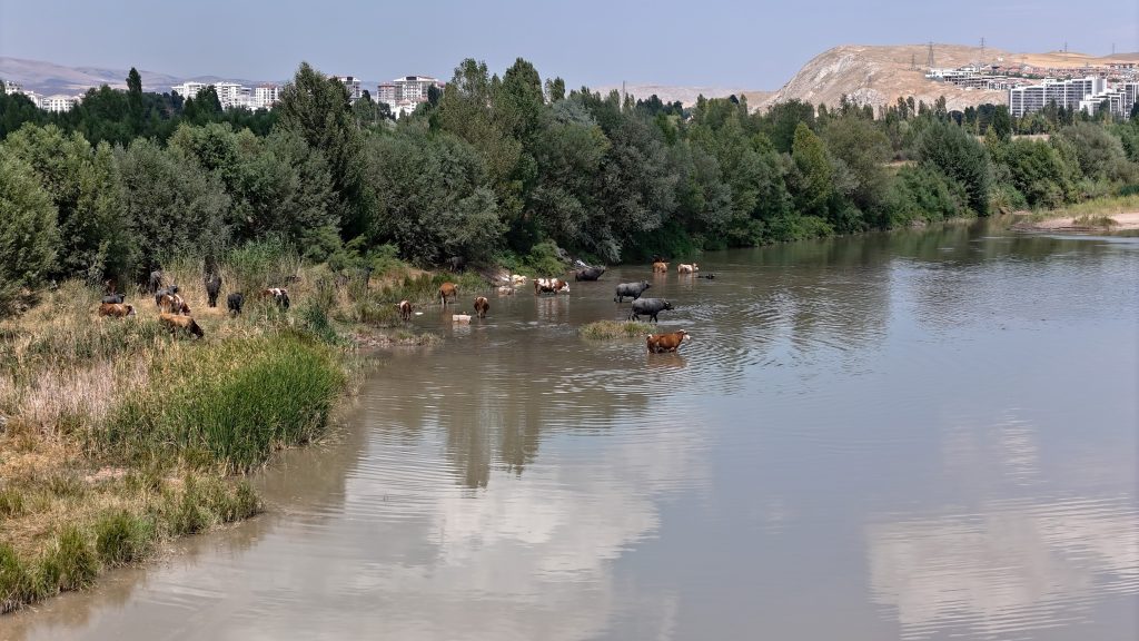 AW511227 03 | Gündem Sivas™ Haber