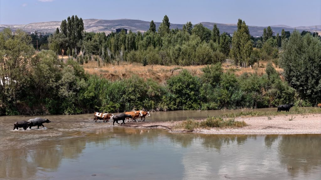 AW511227 04 | Gündem Sivas™ Haber
