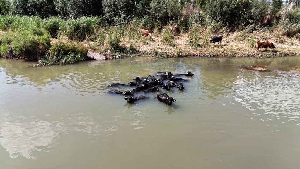AW511227 07 | Gündem Sivas™ Haber