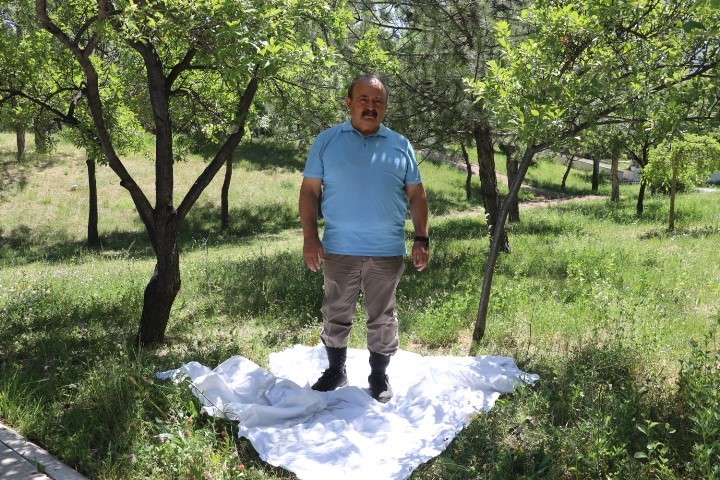 Bilinçsiz Kene İlaçlaması Tehlikeyi Büyütüyor: Prof. Dr. İlhan Çetin Uyardı! AW512060 03 | Gündem Sivas™ Haber