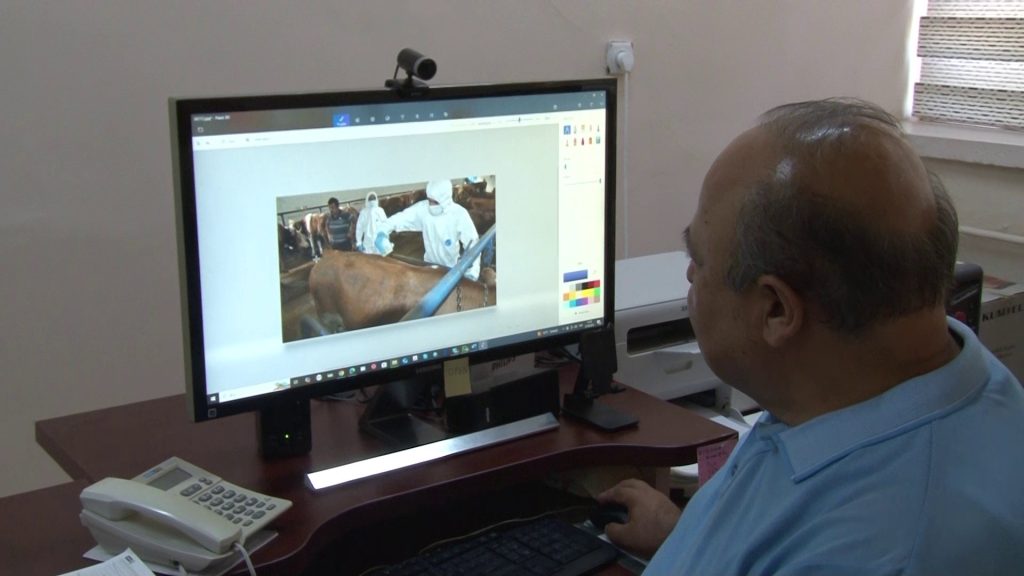 Bilinçsiz Kene İlaçlaması Tehlikeyi Büyütüyor: Prof. Dr. İlhan Çetin Uyardı! AW512060 04 | Gündem Sivas™ Haber