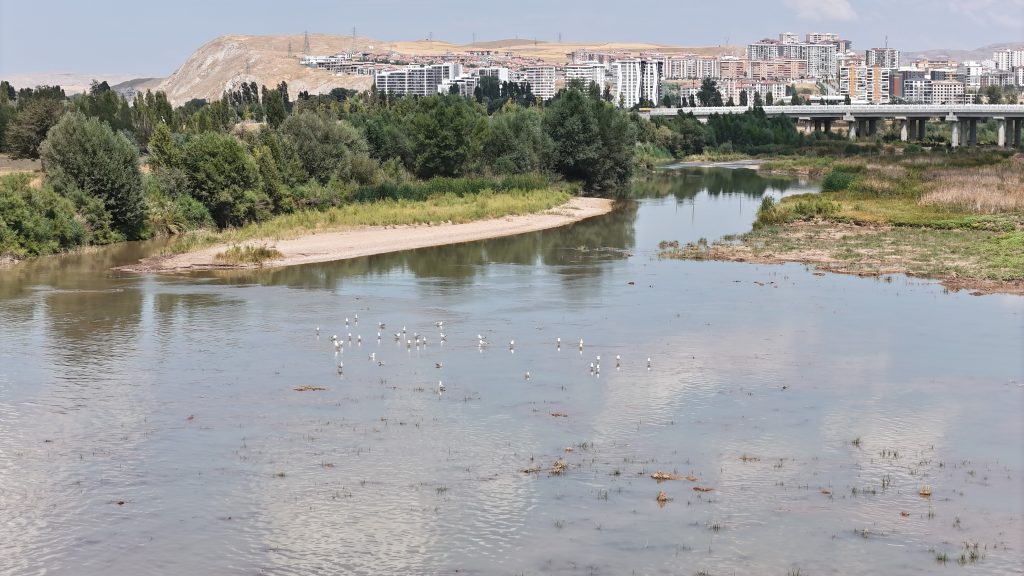 AW512524 04 | Gündem Sivas™ | Sivas Haberleri