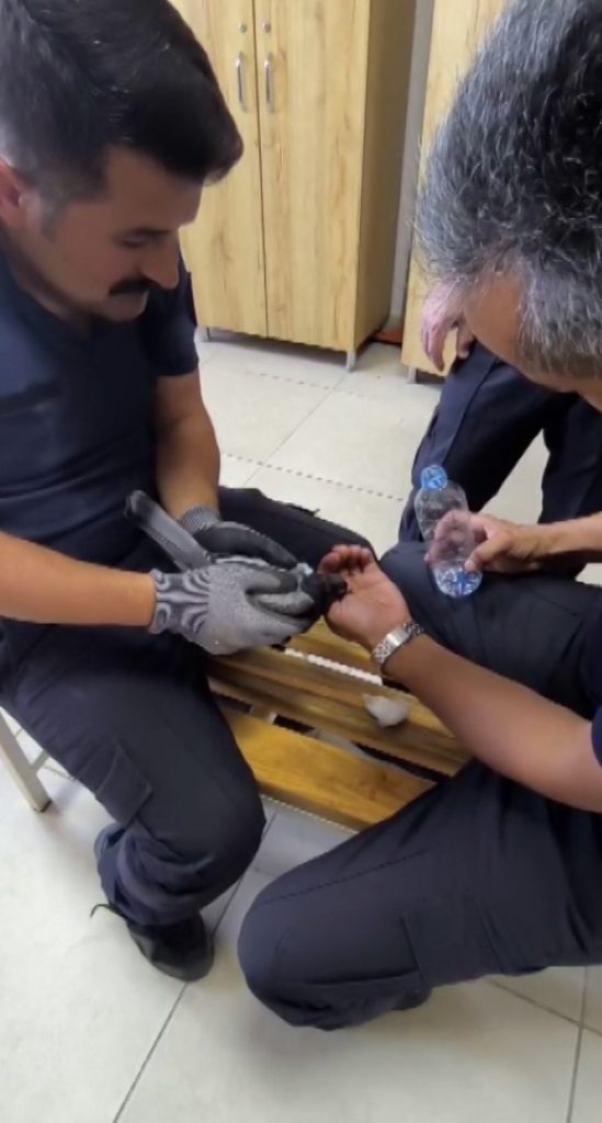 Sivas’ta Klima Havalandırmasına Sıkışan Güvercin İtfaiyenin Müdahalesiyle Kurtarıldı